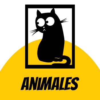 Animales
